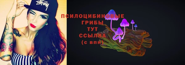 spice Мегион