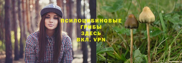 spice Мегион