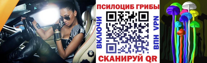 Псилоцибиновые грибы мицелий  Купить закладки  Азнакаево 